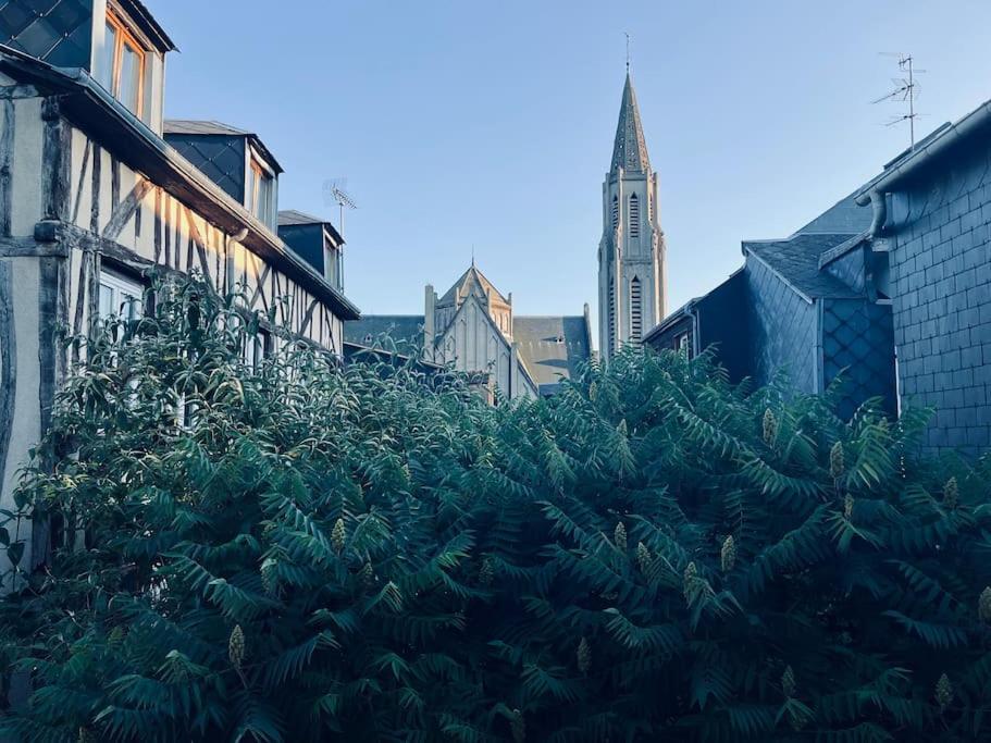 Saint Nicaise - Centre Historique De Rouen Lejlighed Eksteriør billede